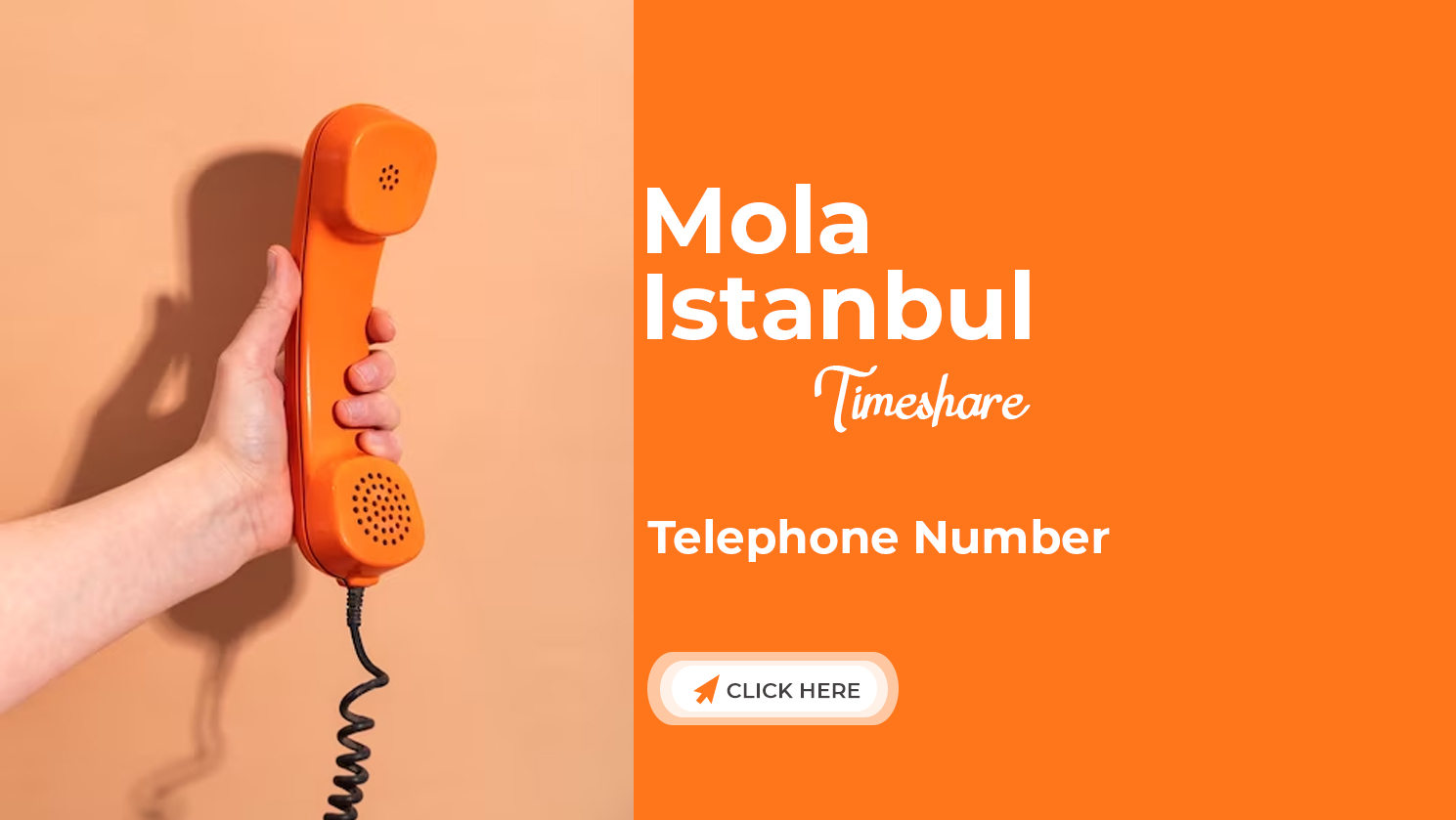 telephone number